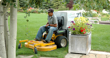 Lawn Care in Jackson Hole