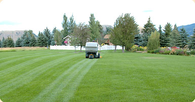 Jackson Hole Lawn Care