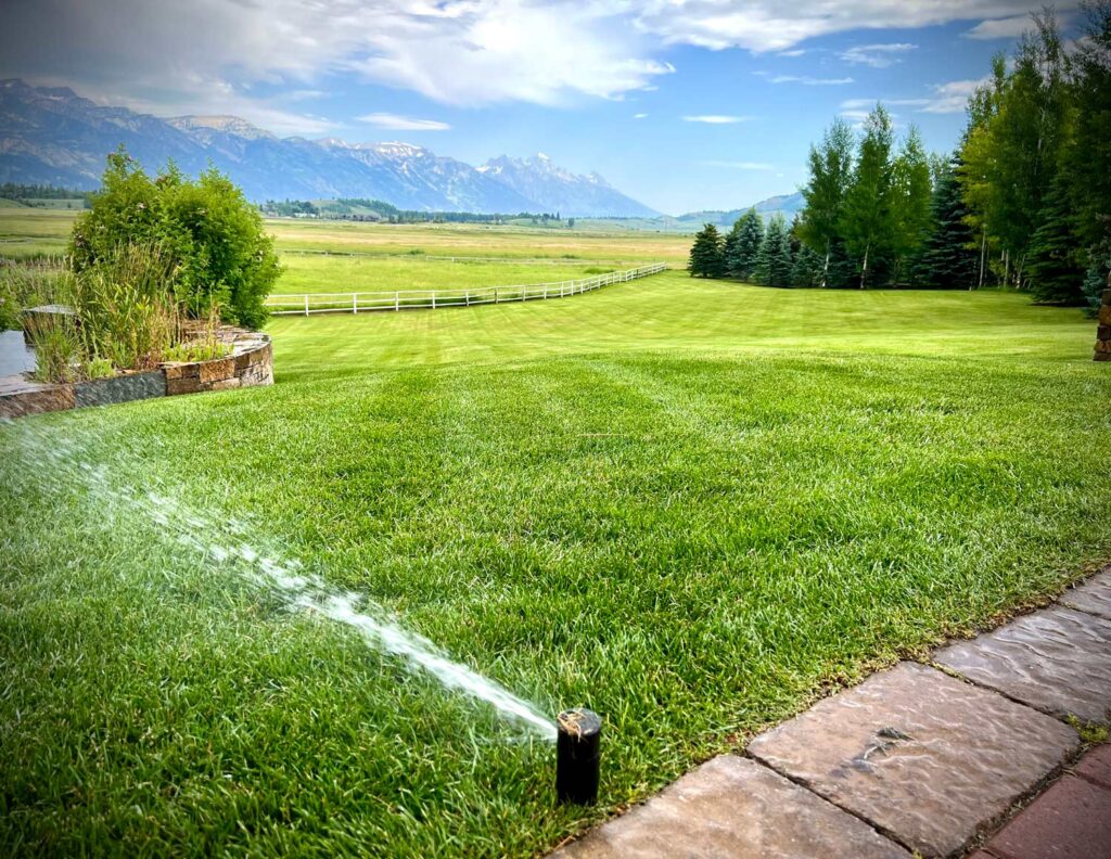 Irrigation sprinkler running on a Jackson Hole lawn